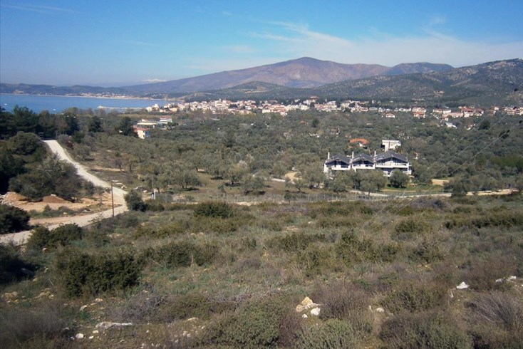 Realty photo 2