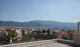 Vila 501 m² u Atini