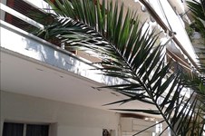 Property 34168 photo 2