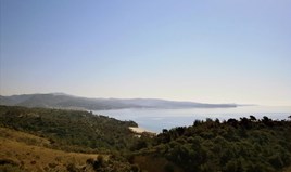 Land on the island of Thassos