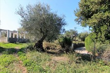 Property 34237 photo 10