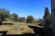 Property 34237 photo 11