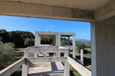 Property 34237 photo 2