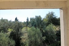 Property 34237 photo 5