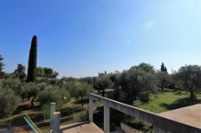 Property 34237 photo 6