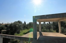 Property 34237 photo 4
