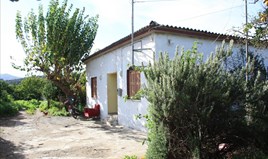 Detached house 87 m² in Crete