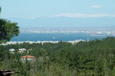 Property 3430 photo 1