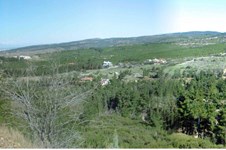 Property 3430 photo 2