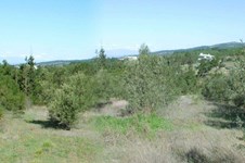 Property 3430 photo 3