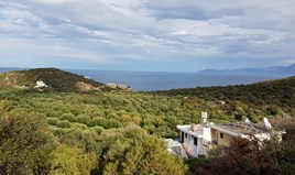 Парцел 3400 m² на Крит