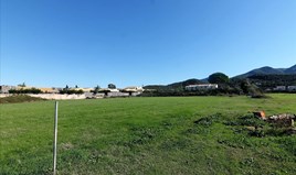 Zemljište 5000 m² na Krfu