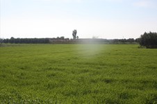 Property 3434 photo 4