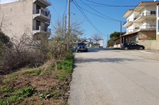 Property 34349 photo 2