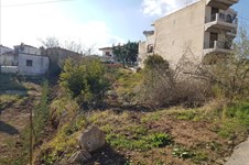 Property 34349 photo 1