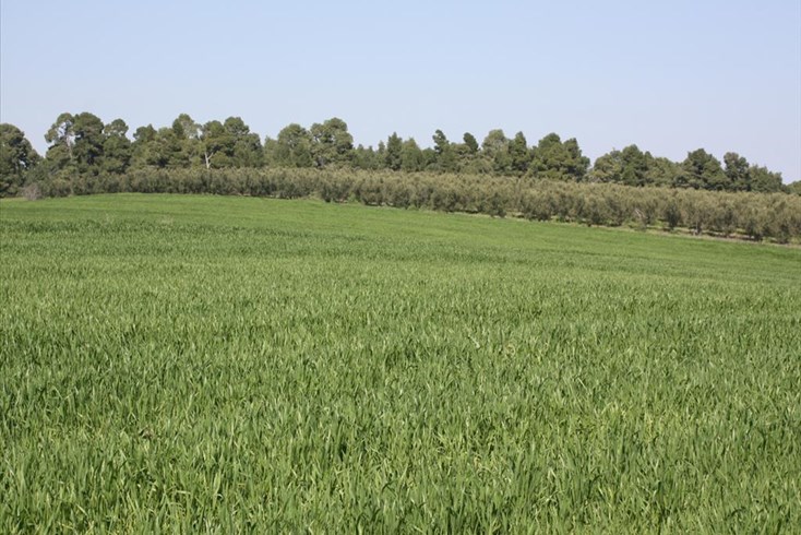 Realty photo 2
