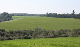 სასტუმრო 32000 m² კასანდრაზე (ქალკიდიკი)