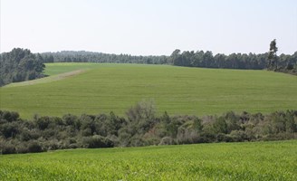 სასტუმრო 32000 m² კასანდრაზე (ქალკიდიკი)