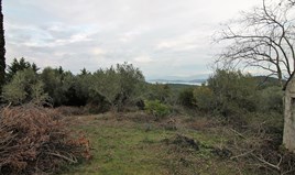 Land 5500 m² auf Korfu