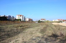 Property 34391 photo 5