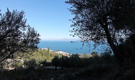 Land 9000 m² auf Korfu