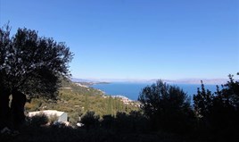 Arsa 4000 m² Korfu’da
