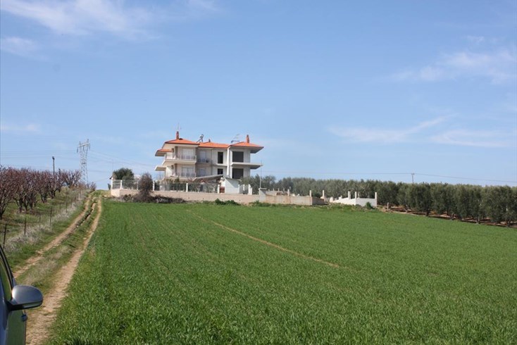 Realty photo 2