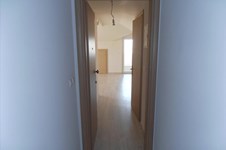 Property 3445 photo 8