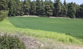Парцел 17500 m² в Касандра (Халкидики)