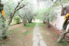 Property 34466 photo 7