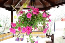 Property 34466 photo 18