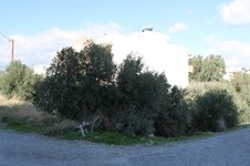 Property 34467 photo 1
