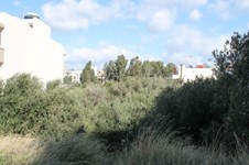 Property 34467 photo 3