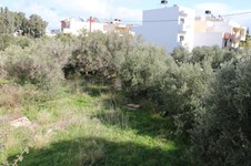 Property 34467 photo 2