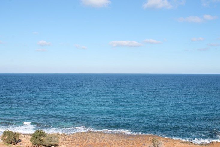 Realty photo 2