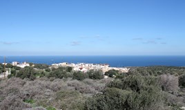 Парцел 5300 m² на Крит