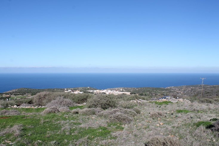 Realty photo 1