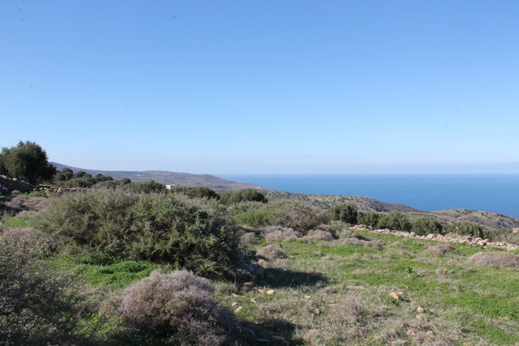 Realty photo 3