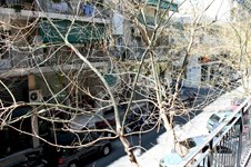 Property 3449 photo 7