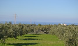 Land 4970 m² in Crete