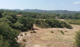Land 50000 m² in Athos, Chalkidiki
