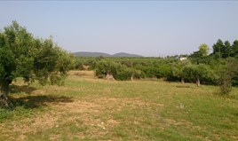 Zemljište 4589 m² na Sitoniji (Halkidiki)