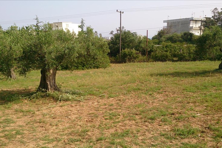 Realty photo 3