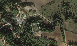 Arsa 4000 m² Kassandra’da (Chalkidiki)
