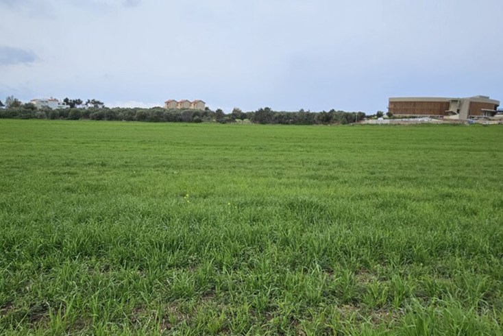 Realty photo 3