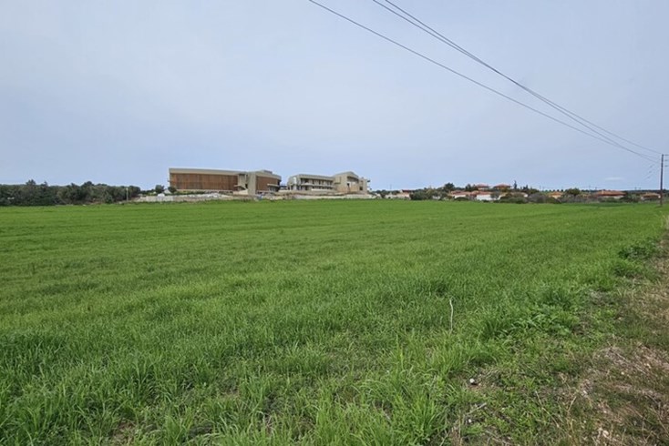 Realty photo 1