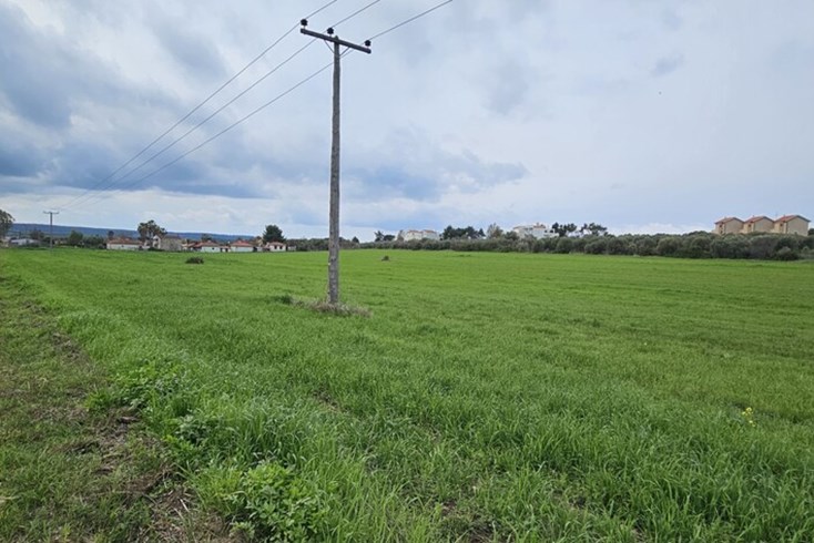 Realty photo 2