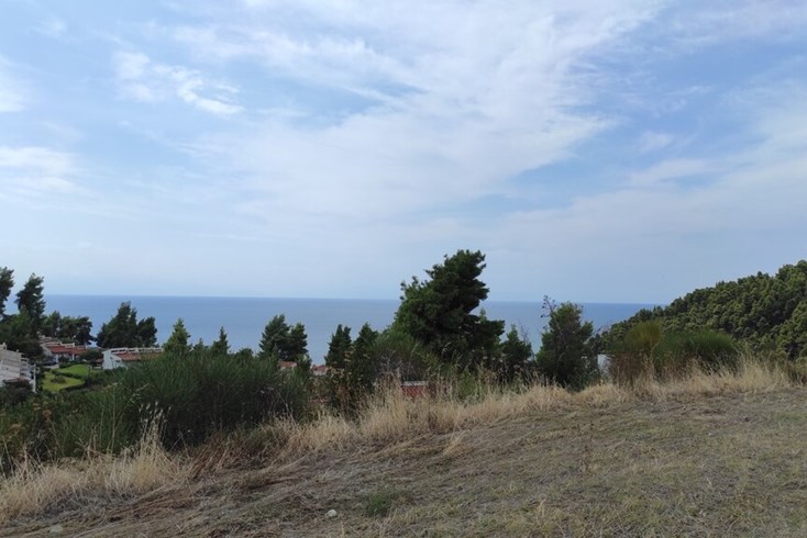 Realty photo 1