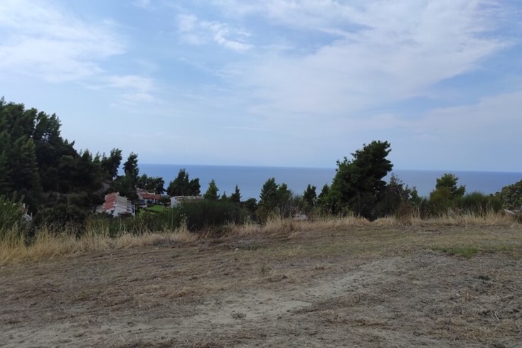 Realty photo 2