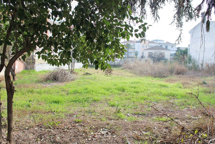 Realty photo 2